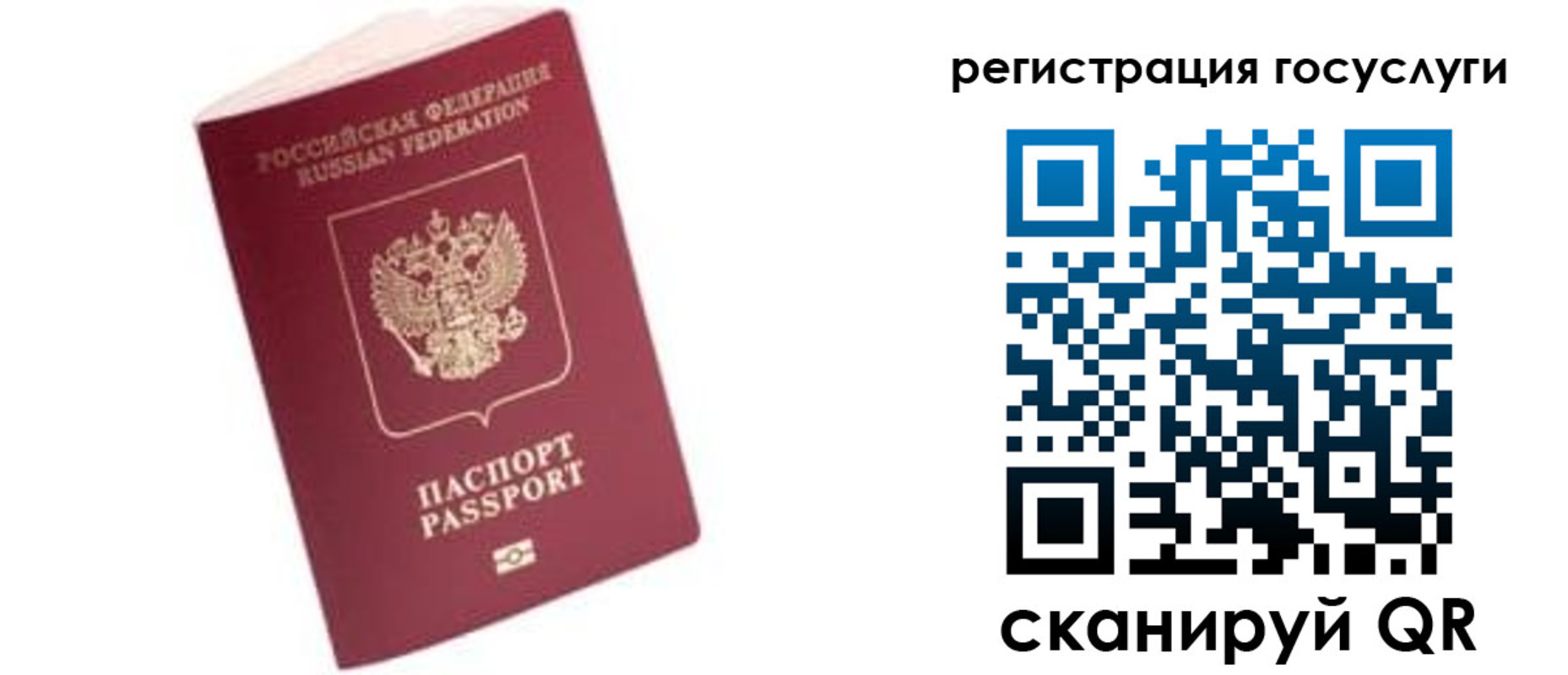 прописка поиск в Боготоле